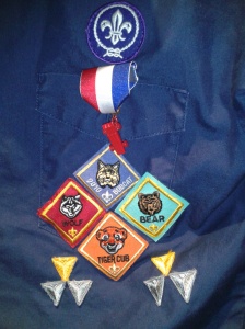 cub scout patches